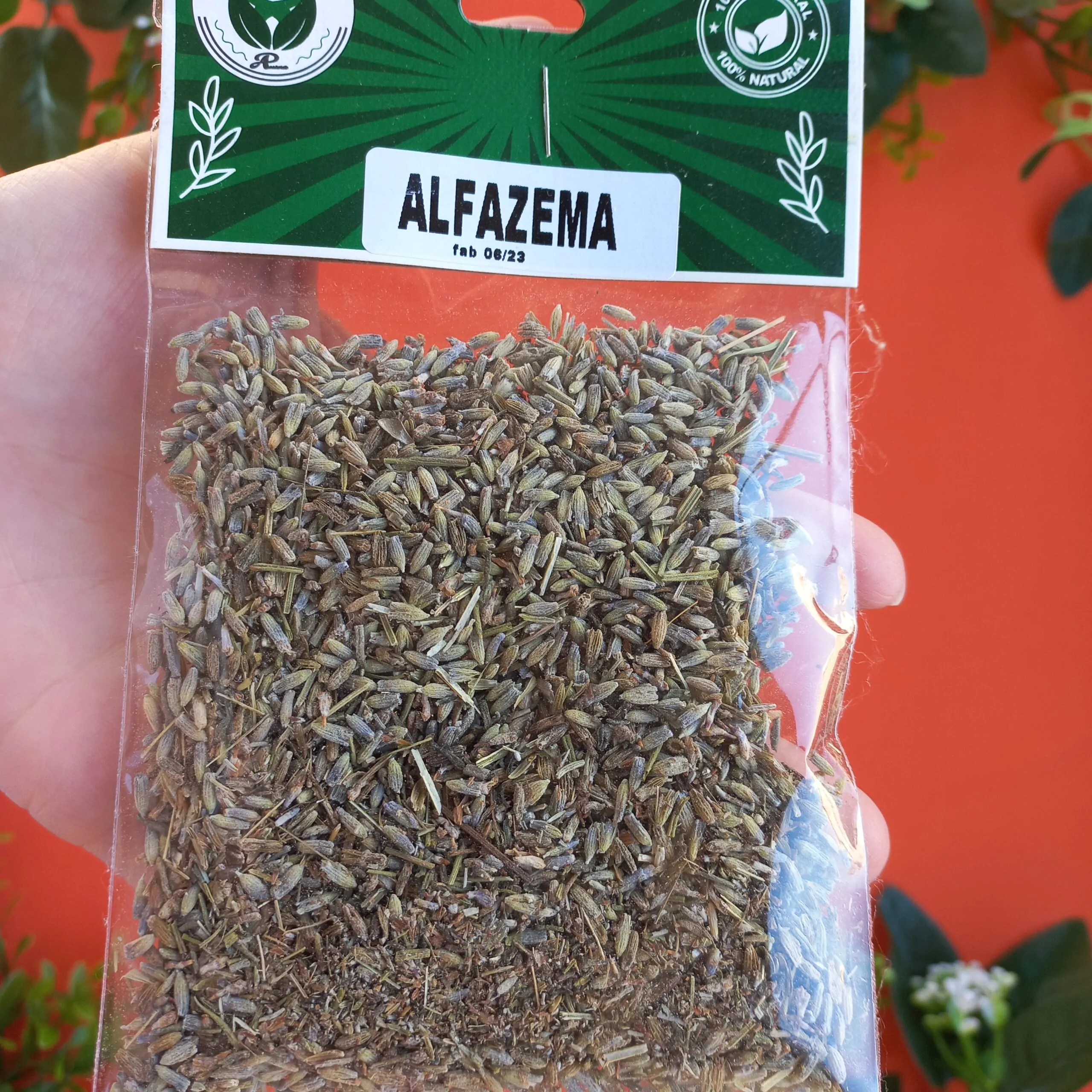Alfazema