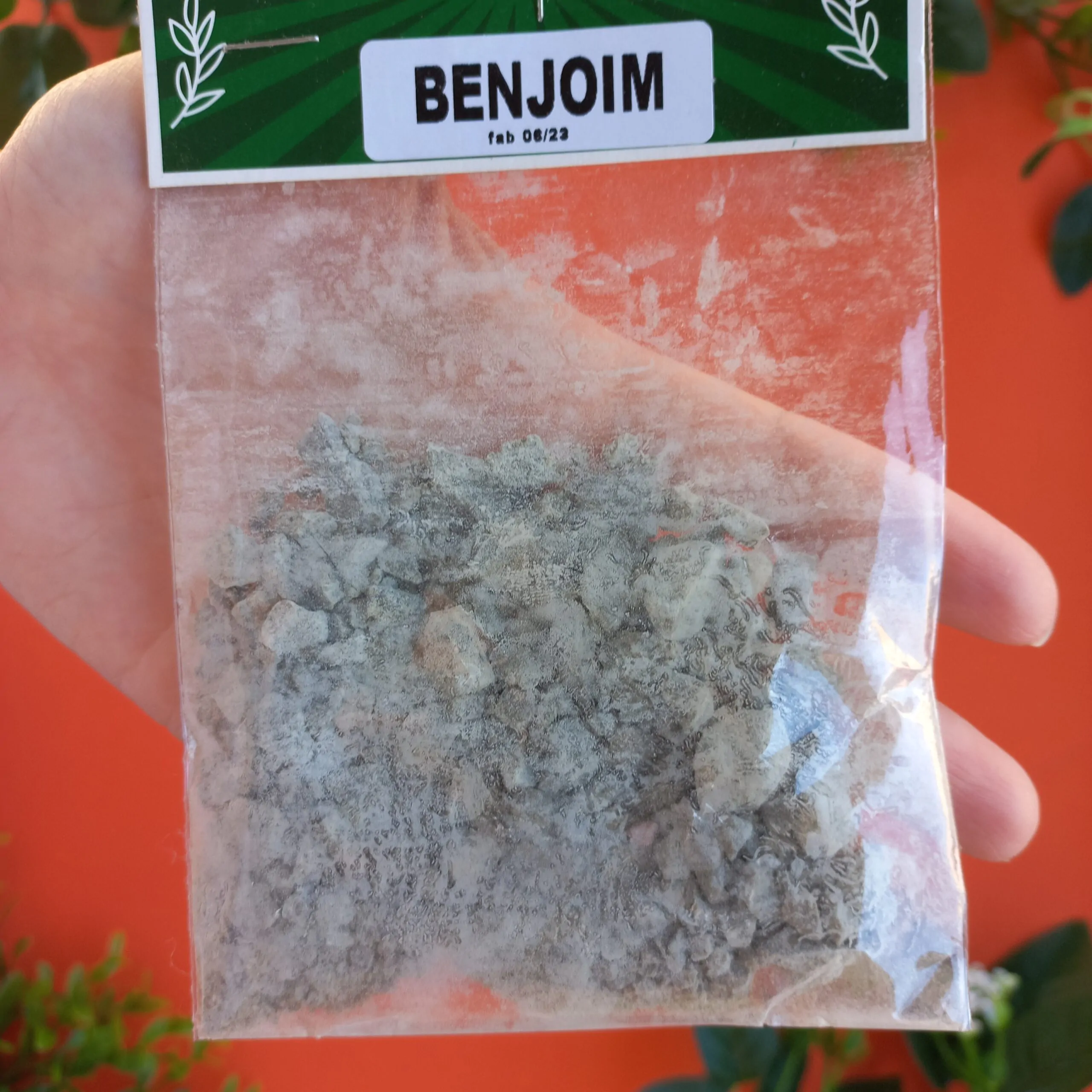 Benjoim