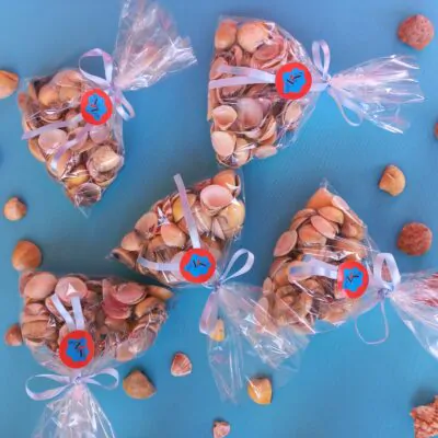 Concha Marisco - Berbigão