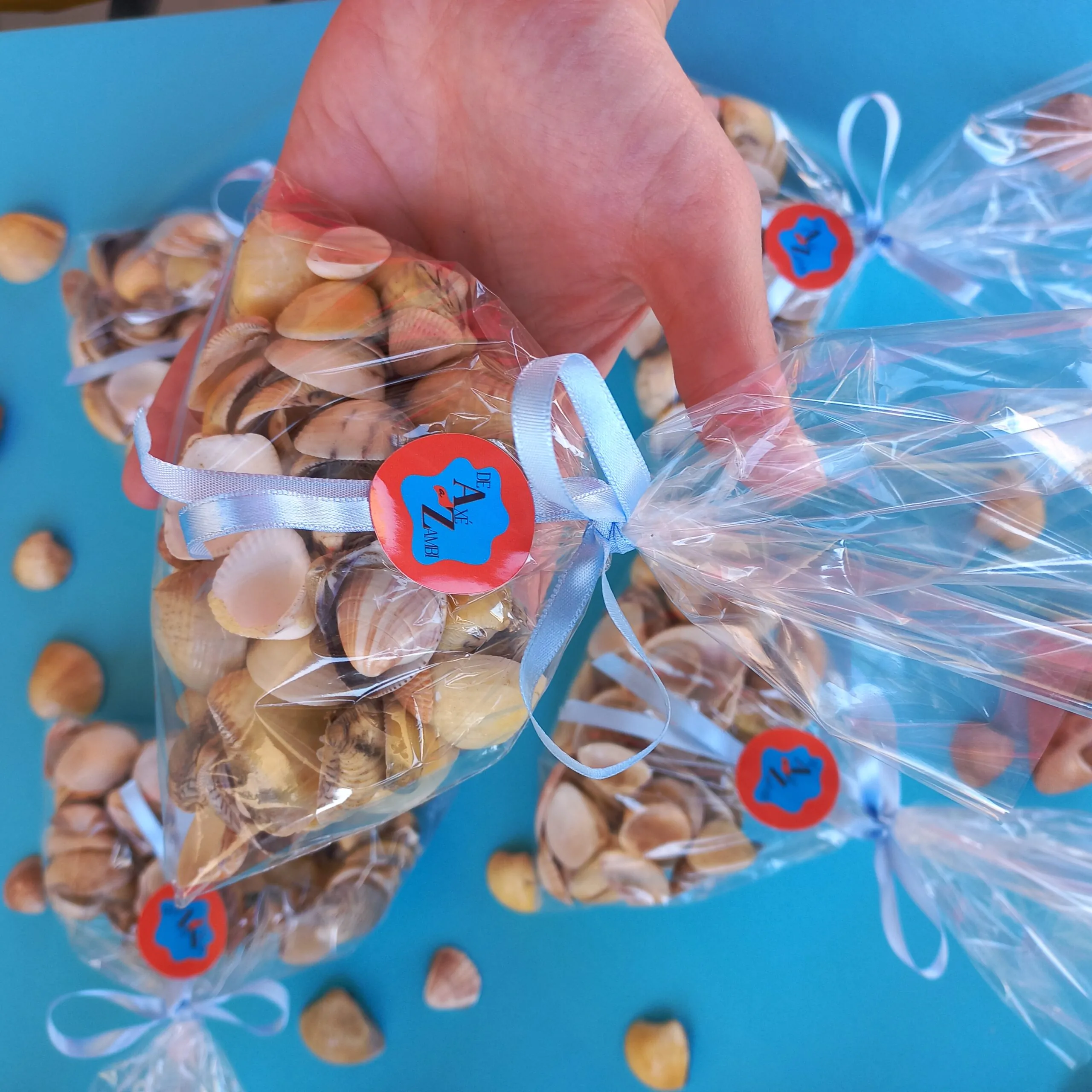 Concha Marisco - Berbigão