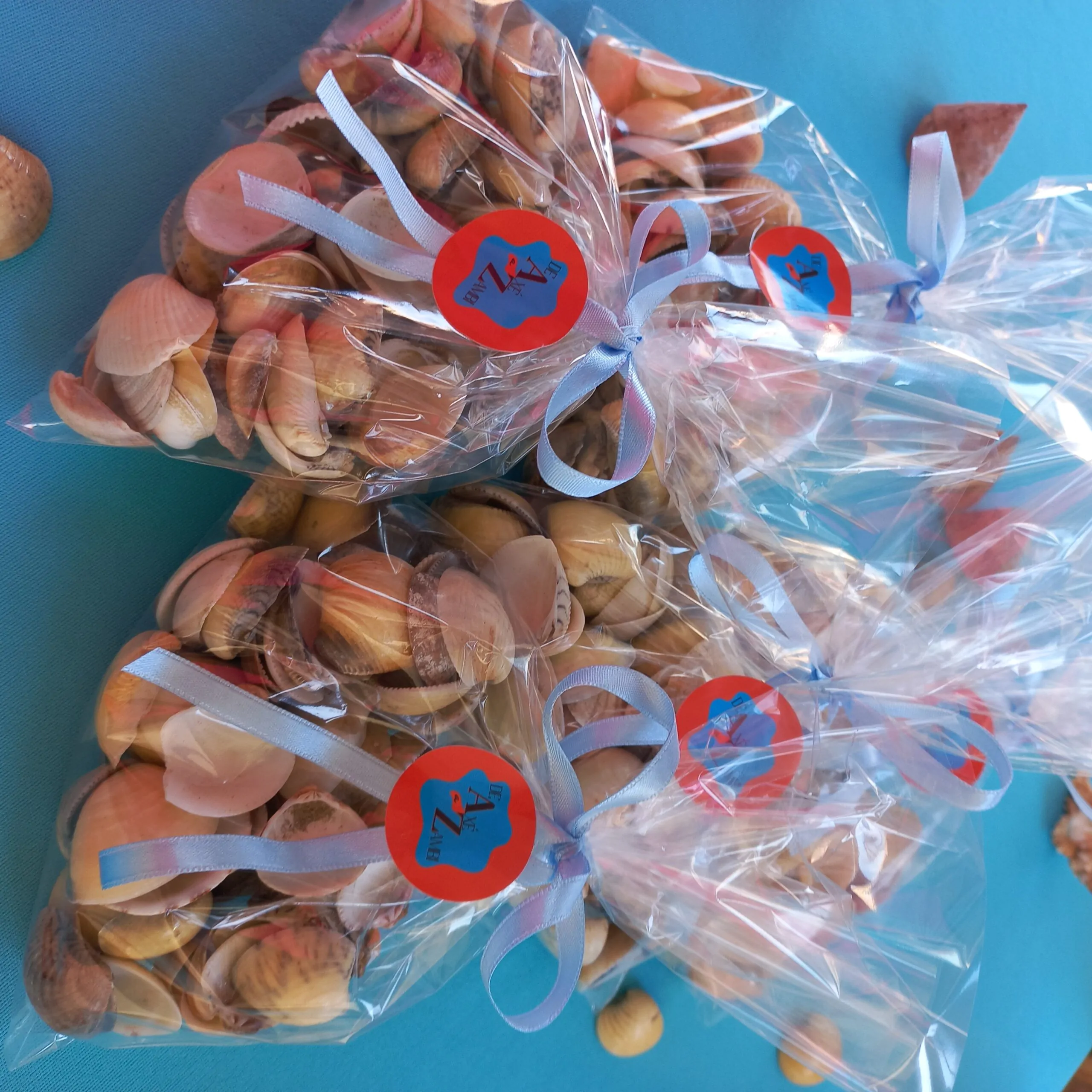 Concha Marisco - Berbigão