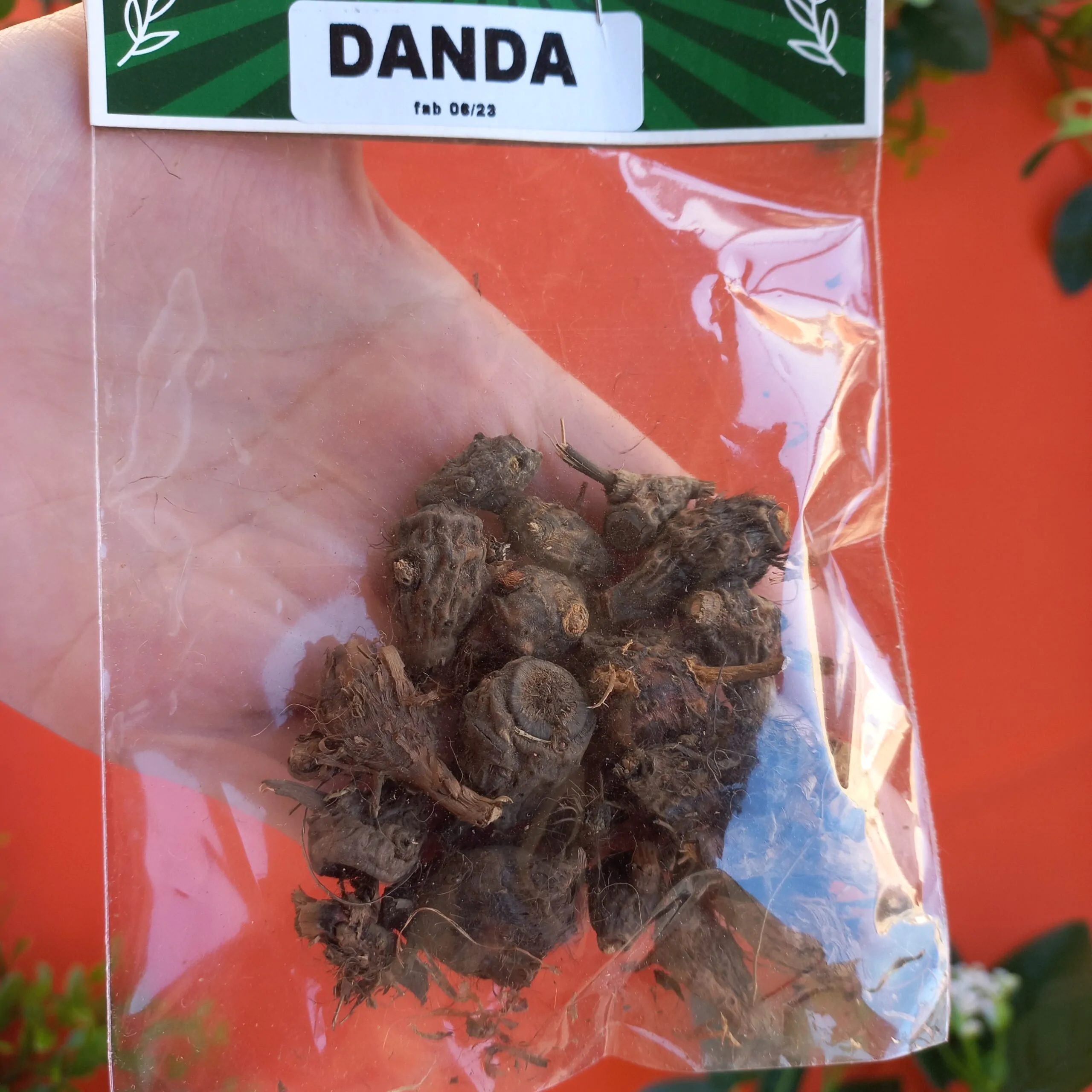 Danda