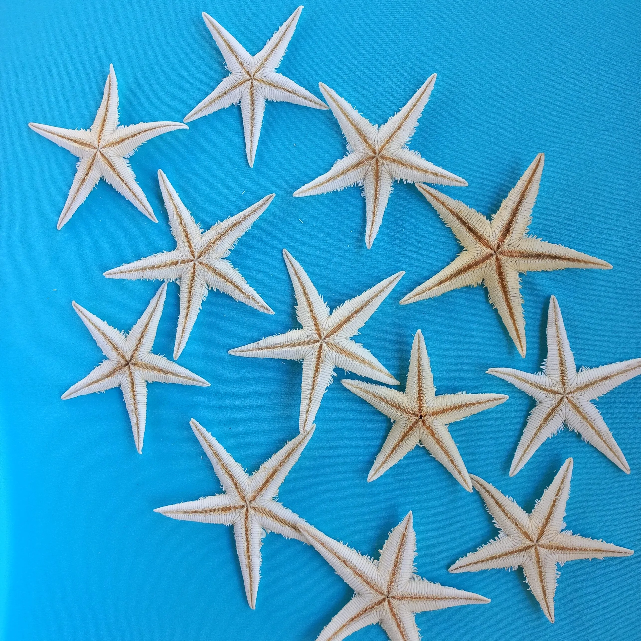 Estrela do Mar Estrela do Mar