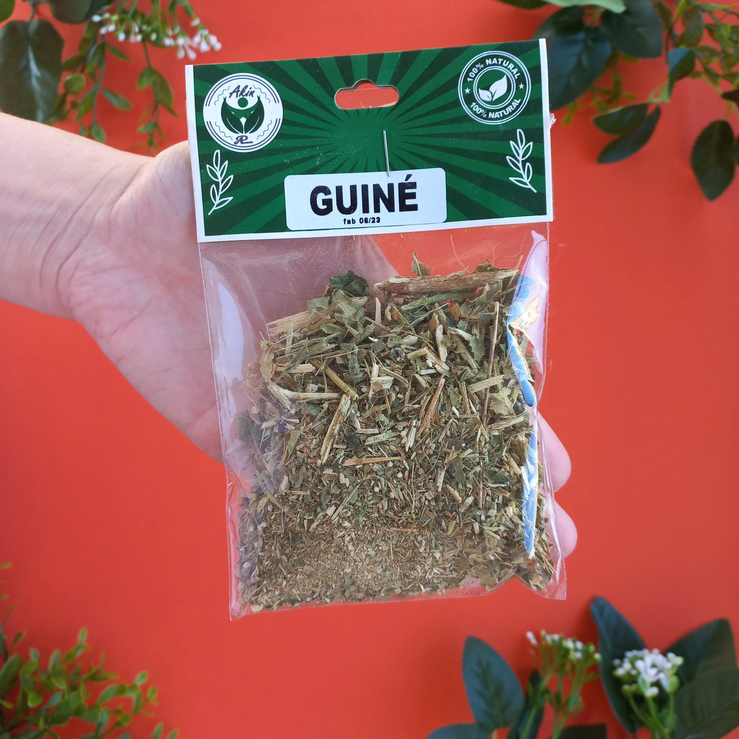 Guiné