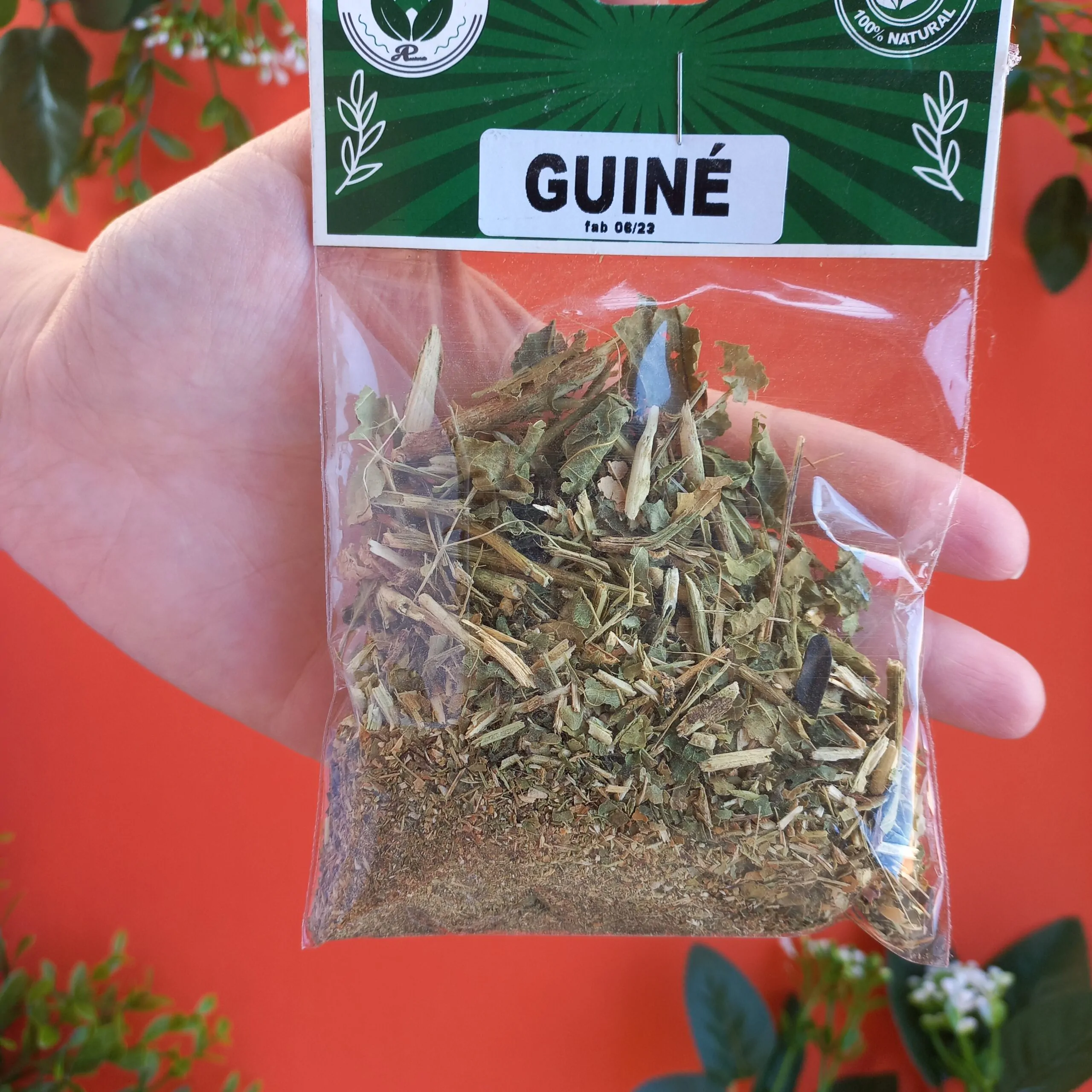 Guiné