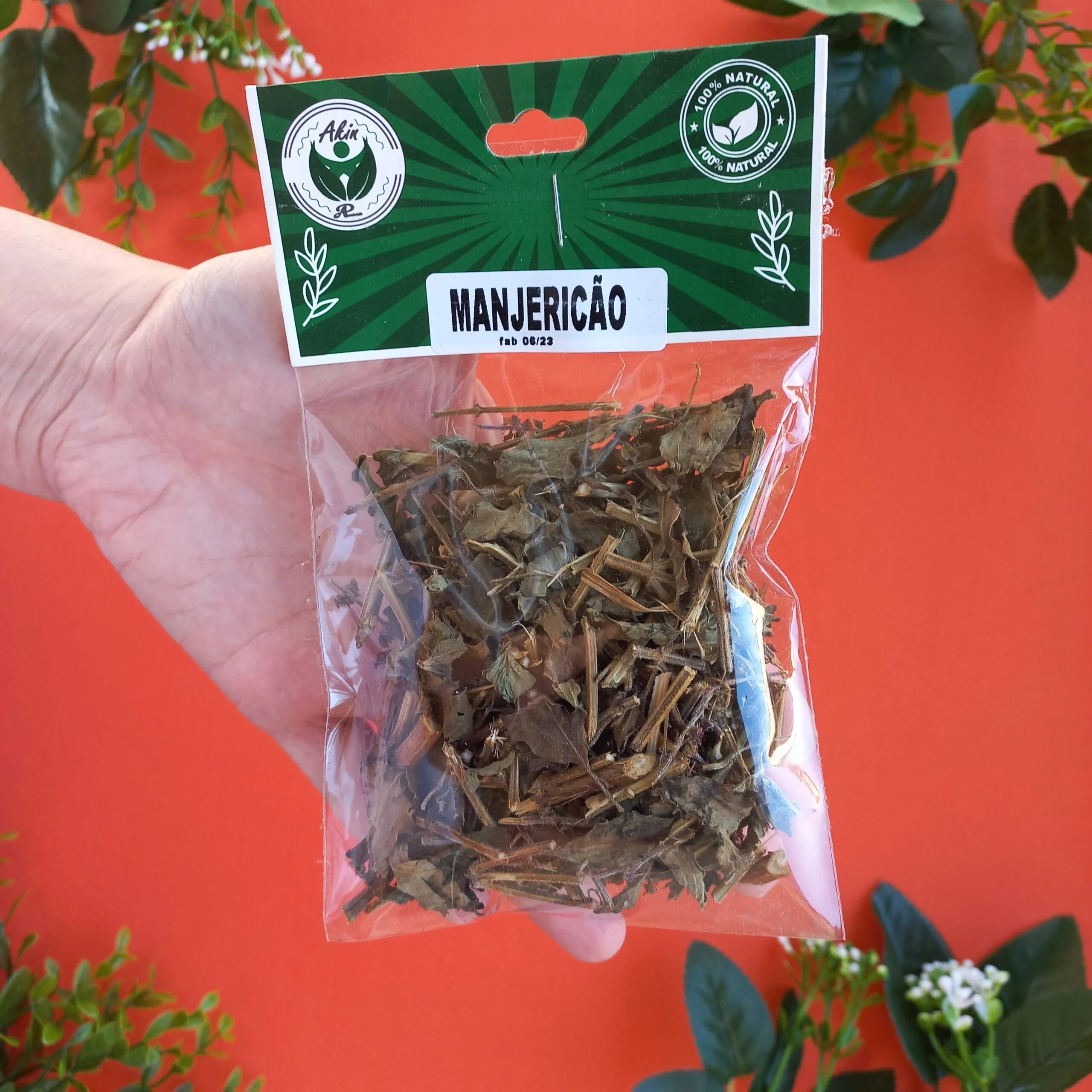 Manjericão Manjericão