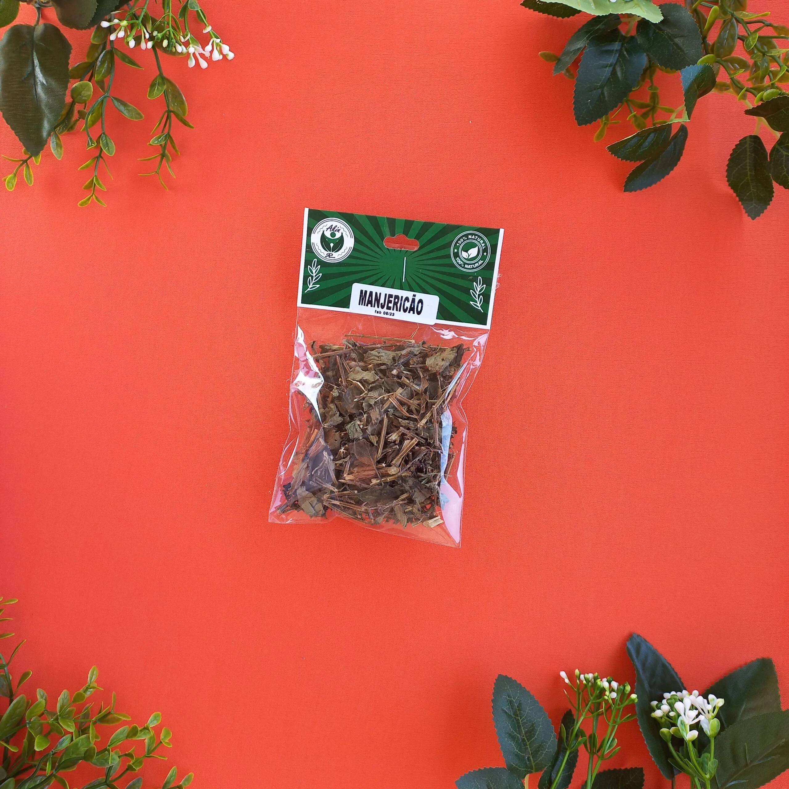 Manjericão Manjericão