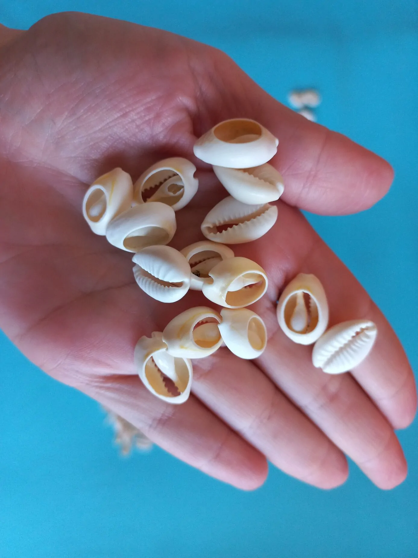 Búzios